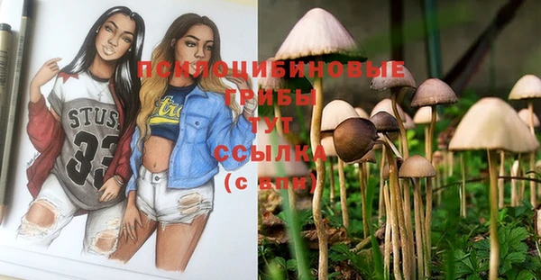 скорость Арсеньев